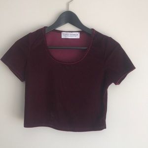 Velvet Crop Top